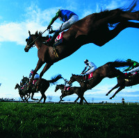 Imagen de una carrera de caballos.