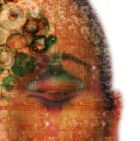 Imagen de una cara digitalizada.